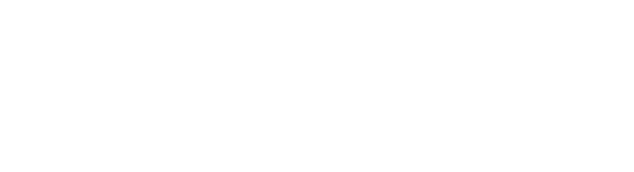 Ntara white logo
